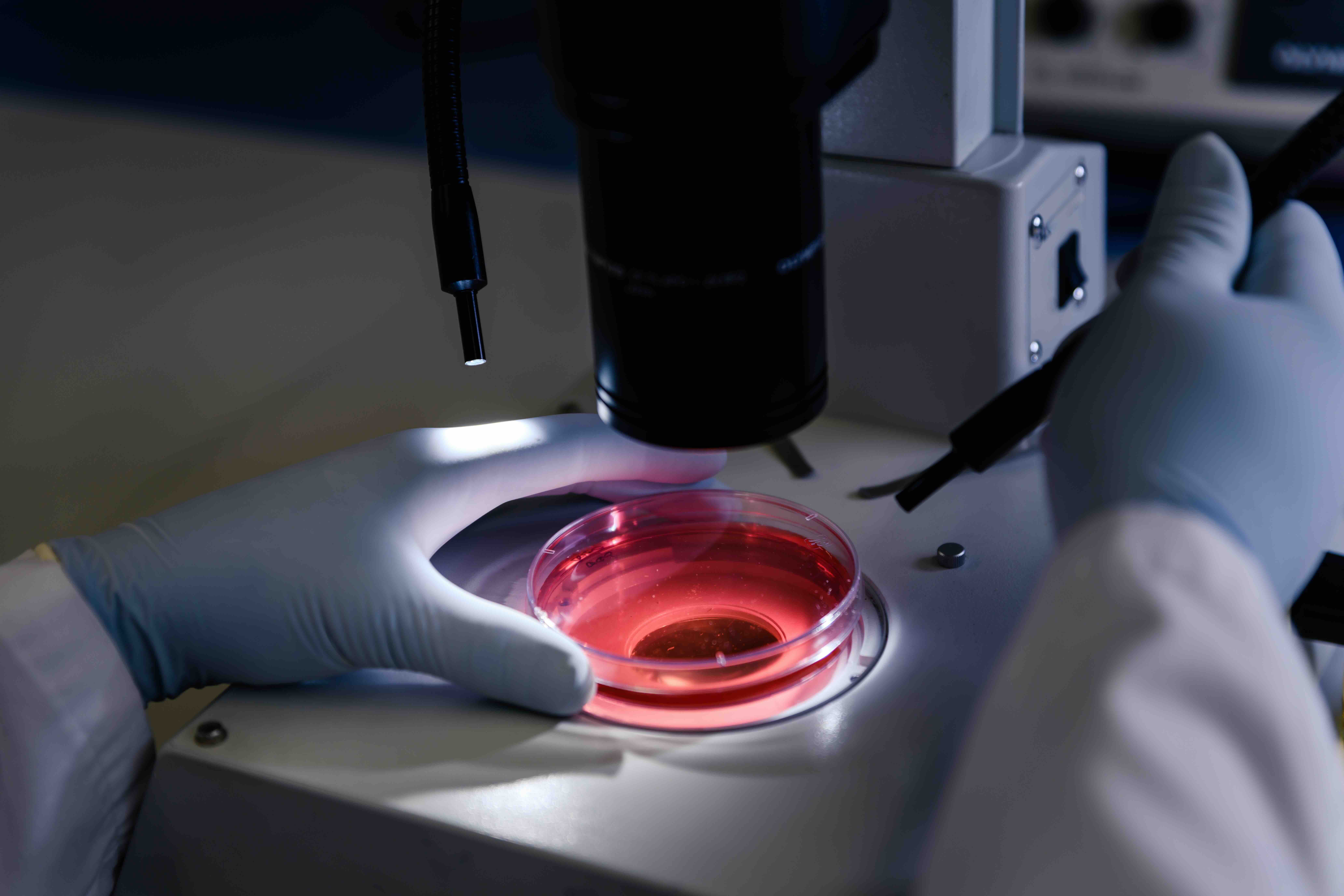 closeup-shot-person-studying-coronavirus-particles-with-microscope.jpeg